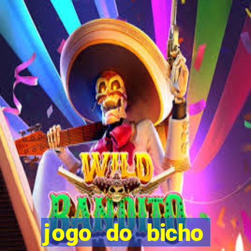 jogo do bicho crash bingo